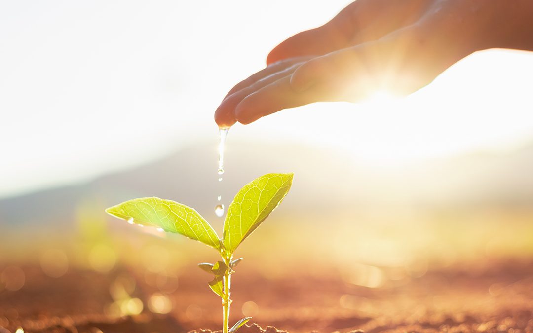 Agricultura escasez agua 1080x675 1