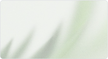 Ombres allargades de fulles o frondes sobre un fons clar i verdós.