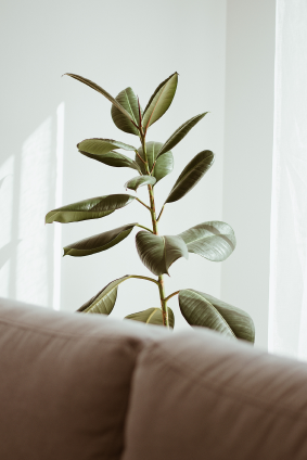 faq comparador de seguros edited 2