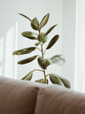 faq comparador de seguros edited 3