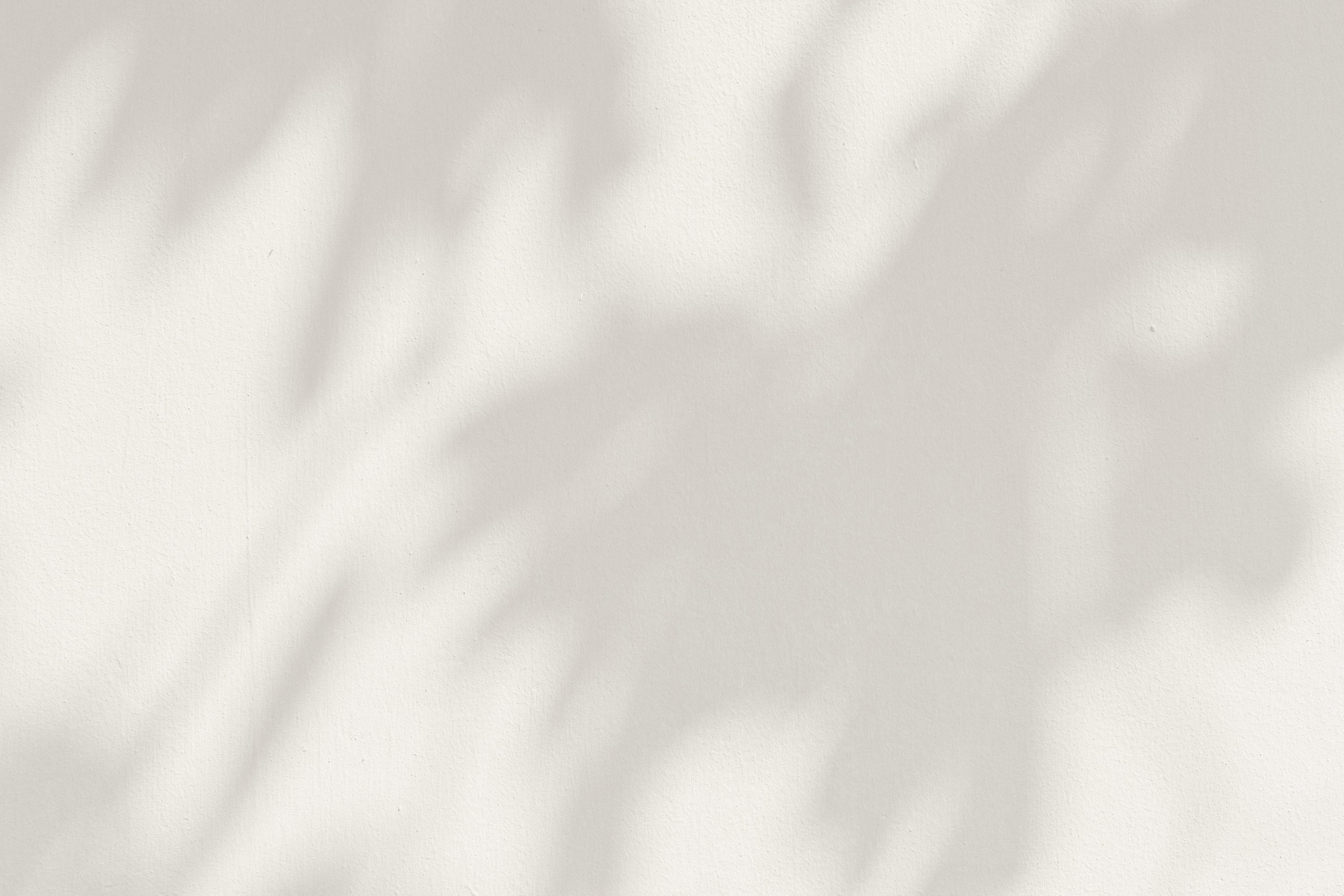 leaf shadows on a cement background illustration 2025 02 10 00 34 09 utc scaled