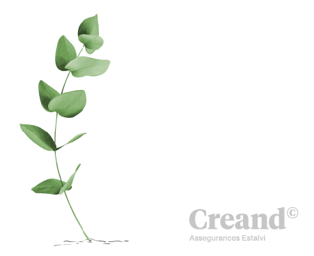 People 7 Vertical branch of green leaves (eucalyptus type) on a light gray background, with the “Creand Assegurances Estalvi” logo in the lower right corner.